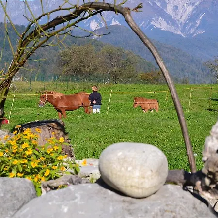 Skvor 팜스테이 Robidisce