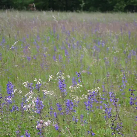 팜스테이 Skvor *