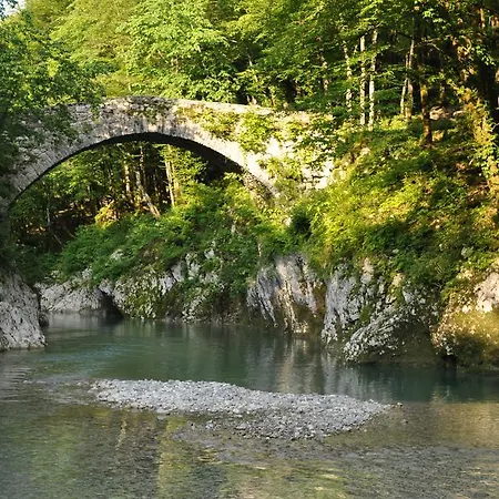 팜스테이 Skvor Robidisce