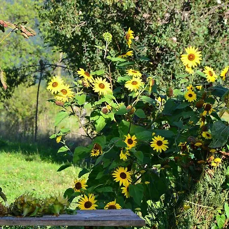 팜스테이 Skvor Robidisce