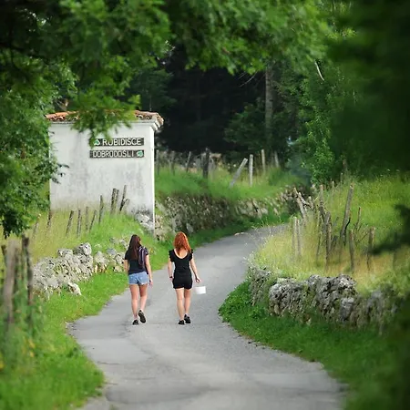 Farm stay Holiday Farmhouse Skvor Robidisce