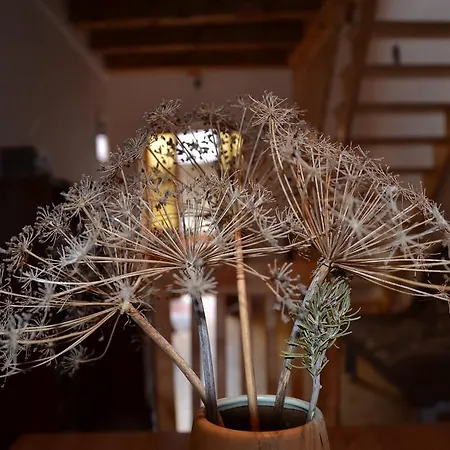 Holiday Farmhouse Skvor Robidisce