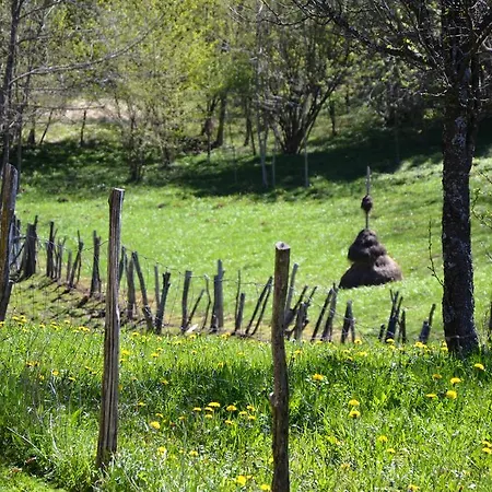 팜스테이 Skvor *