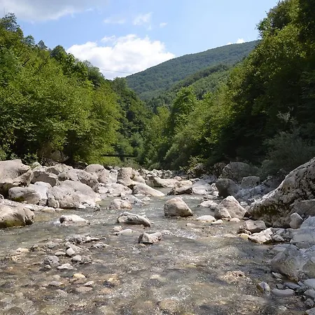 팜스테이 Skvor Robidisce