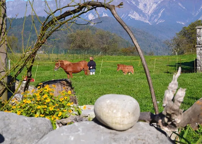 Holiday Farmhouse Skvor Bauernhof Robidisce