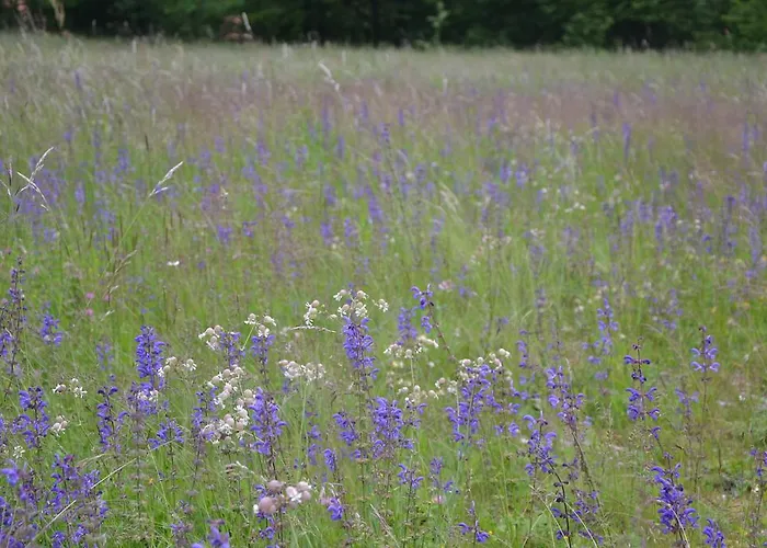 Bauernhof Holiday Farmhouse Skvor *