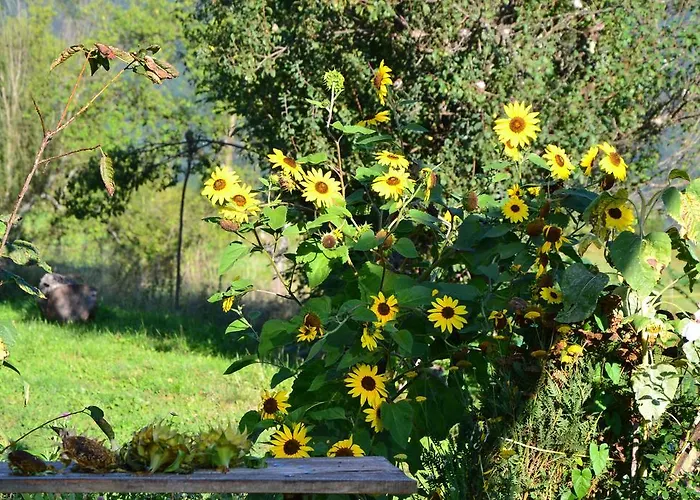 Agroturismo Skvor Robidisce