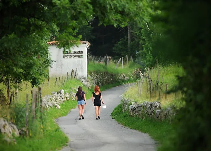 Bauernhof Holiday Farmhouse Skvor Robidisce