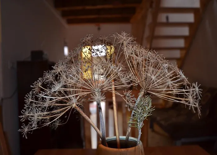 Holiday Farmhouse Skvor Robidisce