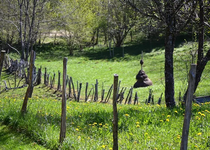 Bauernhof Holiday Farmhouse Skvor *